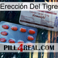 Erección Del Tigre 36